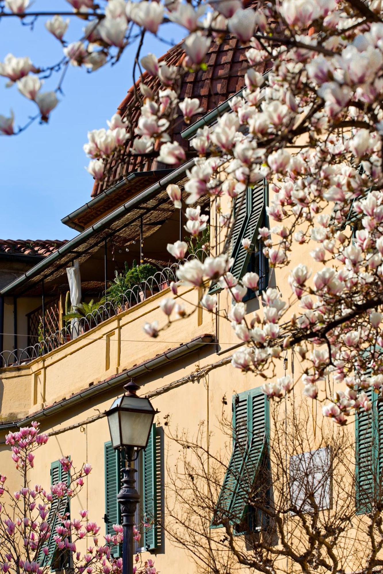 Casa San Girolamo Historic Flat With Cosy Terrace In Lucca'S City Centre Zewnętrze zdjęcie