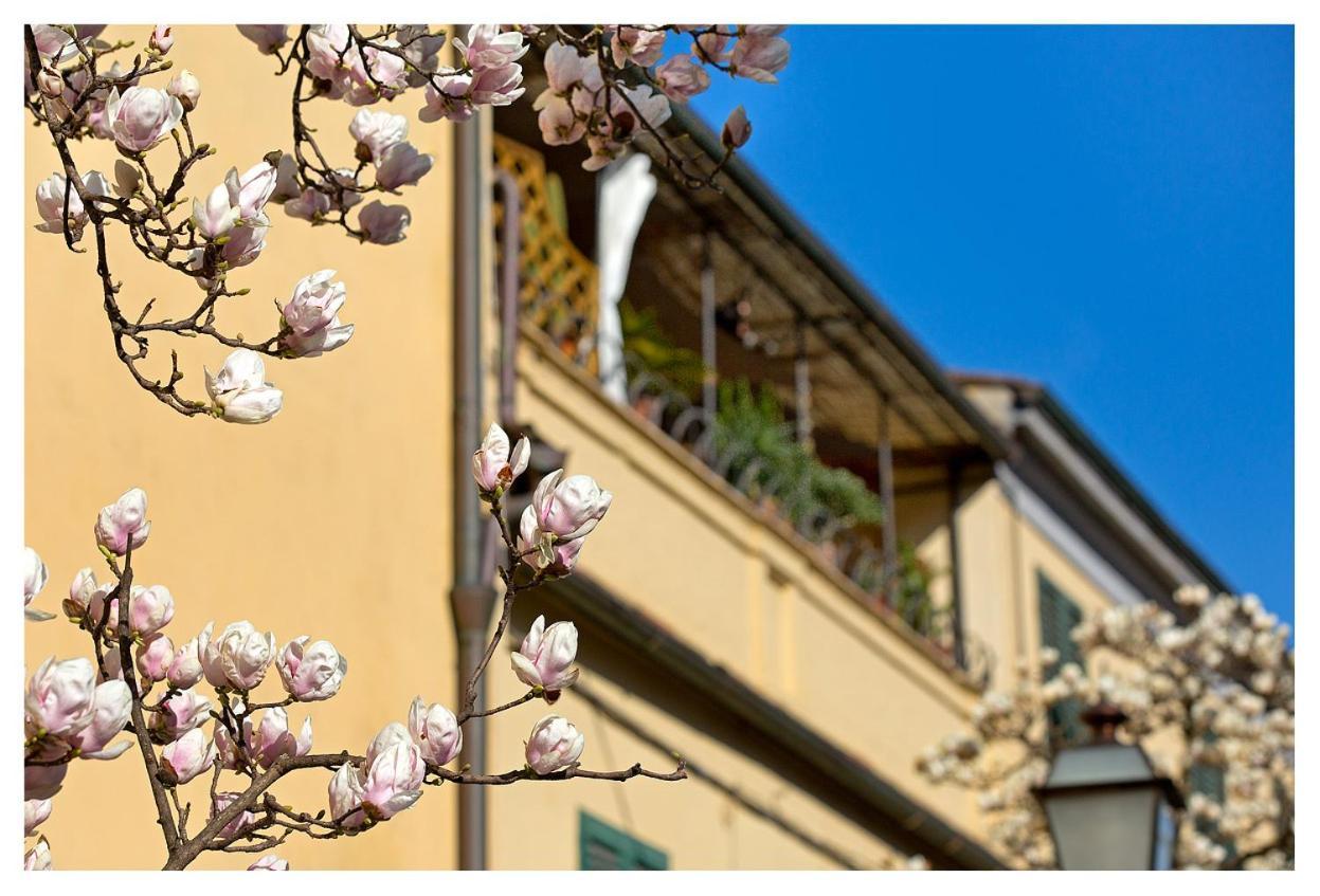 Casa San Girolamo Historic Flat With Cosy Terrace In Lucca'S City Centre Zewnętrze zdjęcie